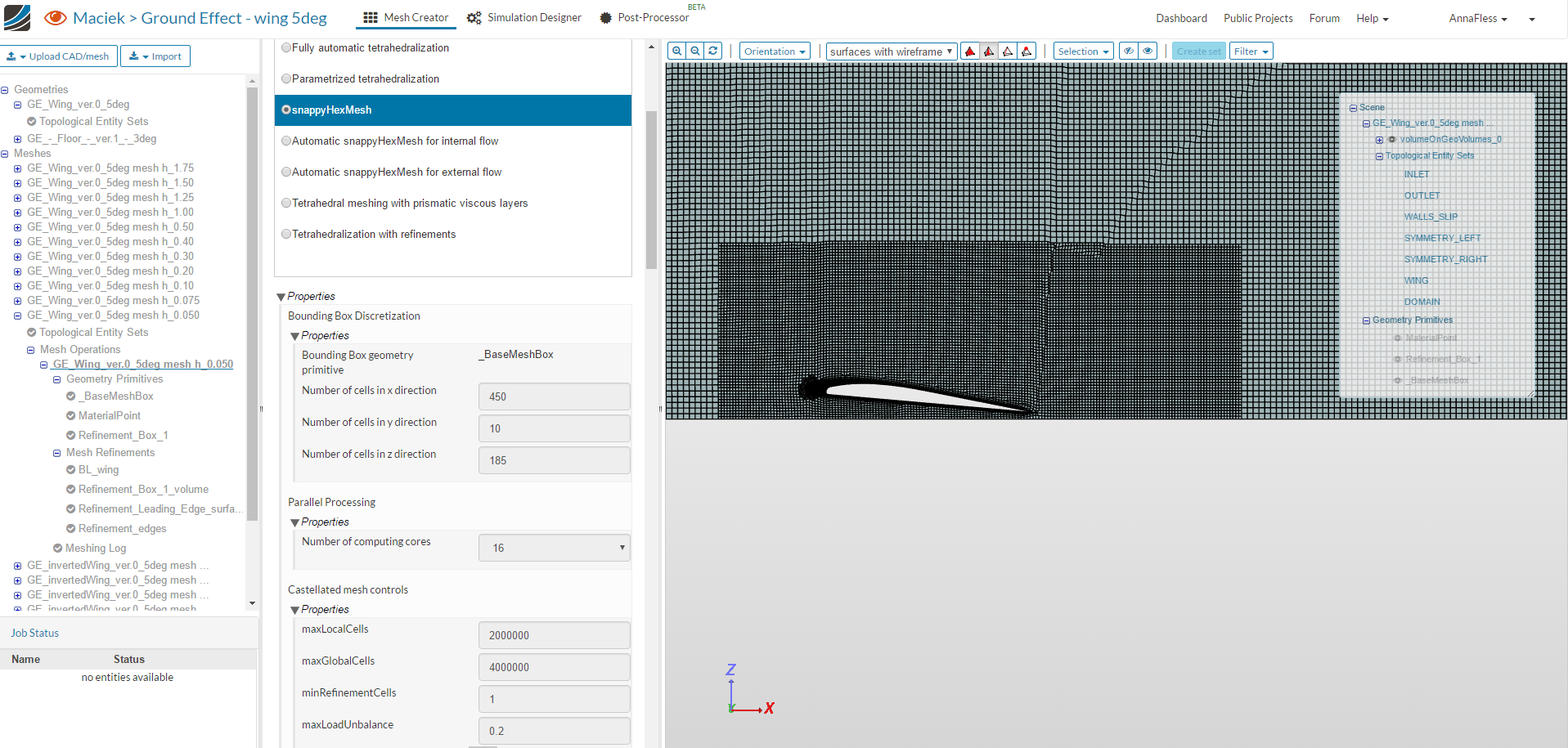 ground effect aircraft airfoil wing mesh