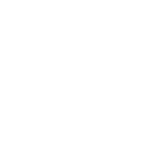 20 times increased simulation speed