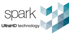 Spark Security