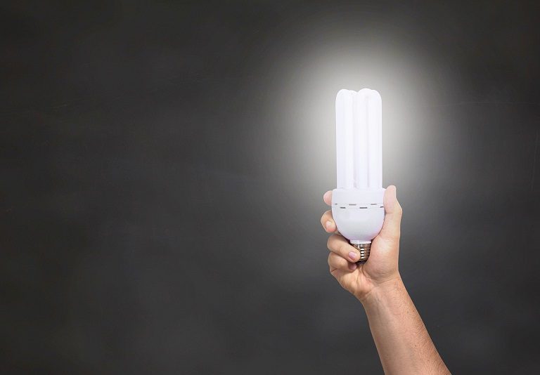 hand holding compact fluorescent light bulb led performance