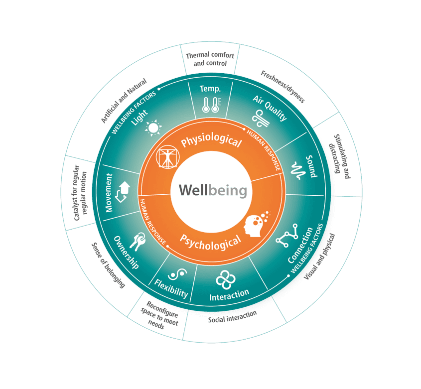 infographic for human centric design process