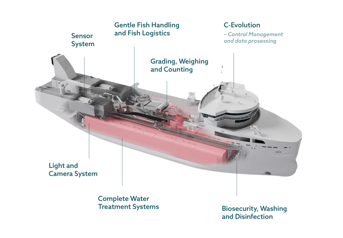 Schematic of a well ship, including fish transfer system and hold highlighted in red