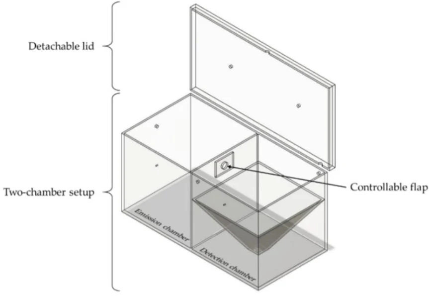 dual-chamber illustration